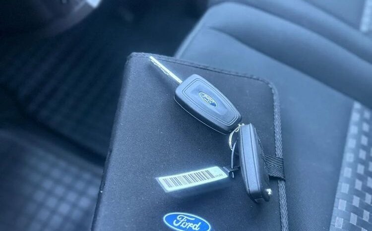 Ford Transit Custom 310 L2H1 Ambiente full